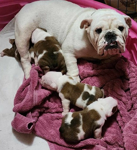 Betty being a great Mommy!